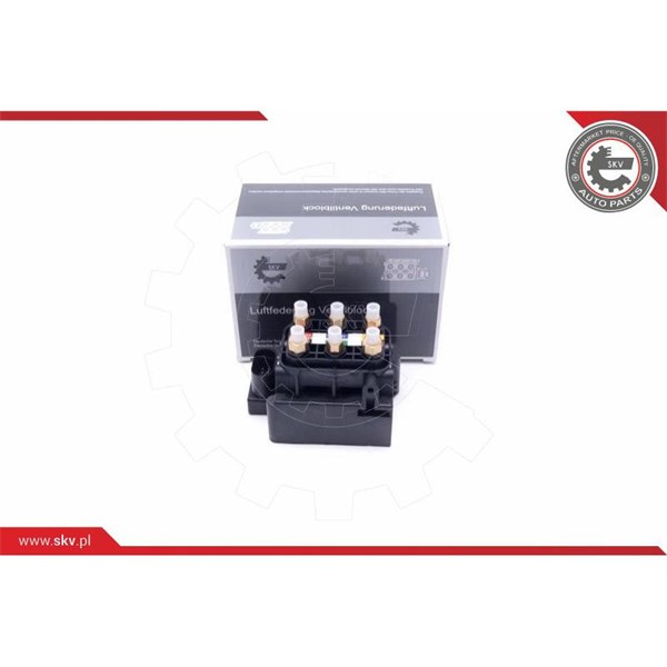 Ventil, kompressorsystem Esen skv 93SKV806 ESEN SKV