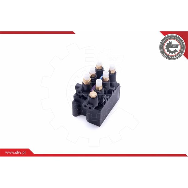 Ventil, kompressorsystem Esen skv 93SKV811 ESEN SKV