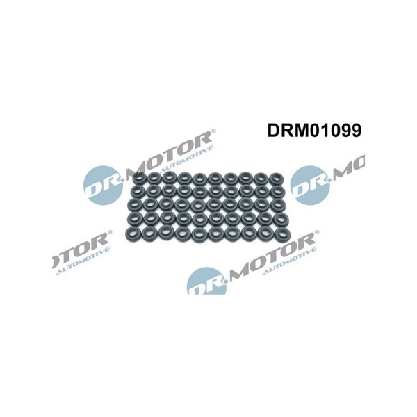 Packning, topplocksbult Dr.motor automotive DRM01099 Dr.Motor Automotive