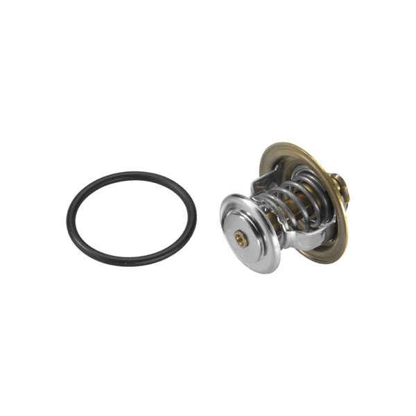 Termostat, kylvätska Borgwarner (wahler) 4255.92D BorgWarner (Wahler)