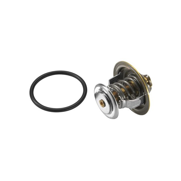 Termostat, kylvätska Borgwarner (wahler) 4255.92D BorgWarner (Wahler) Termostat, kylvätska Borgwarner (wahler) 4255.92D BorgWarner (Wahler)