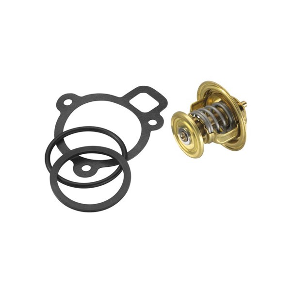 Termostat, kylvätska Borgwarner (wahler) 4256.87D50 BorgWarner (Wahler)