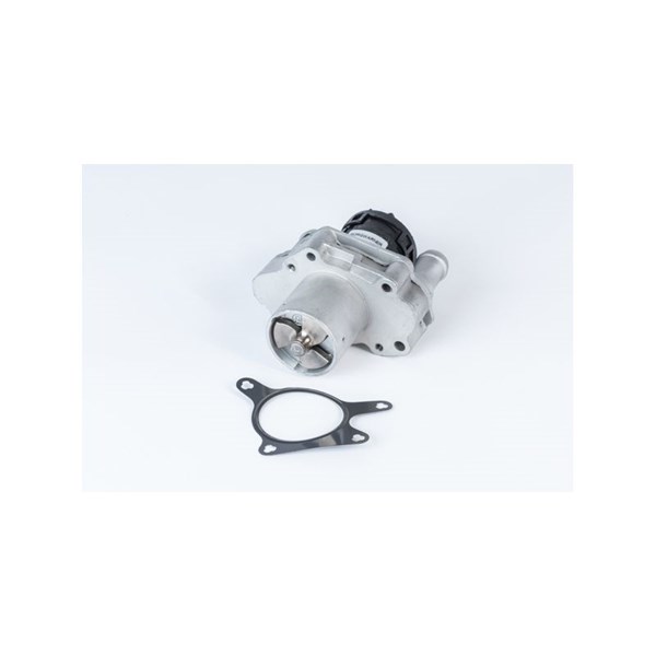 Egr-ventil Borgwarner (wahler) 710471R BorgWarner (Wahler)