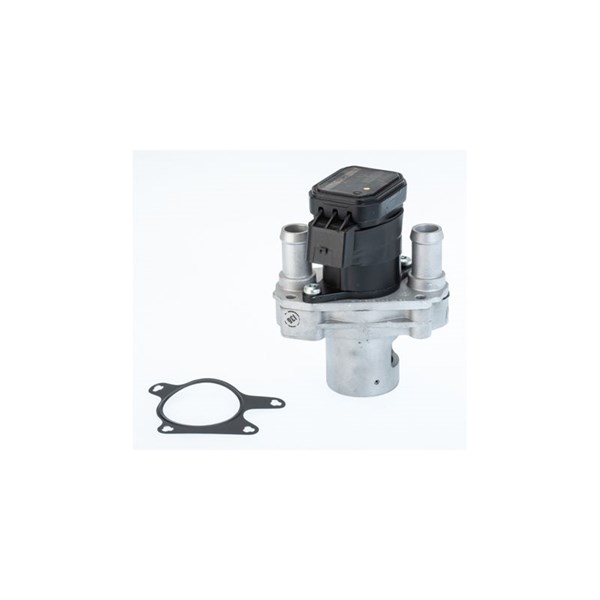Egr-ventil Borgwarner (wahler) 710476R BorgWarner (Wahler)