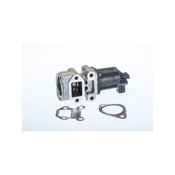Egr-ventil Borgwarner (wahler) 710964R BorgWarner (Wahler) Egr-ventil Borgwarner (wahler) 710964R BorgWarner (Wahler)