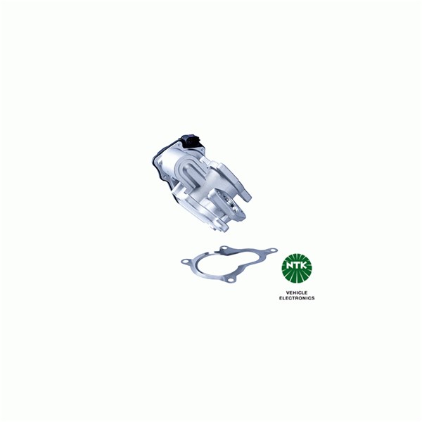 Egr-ventil