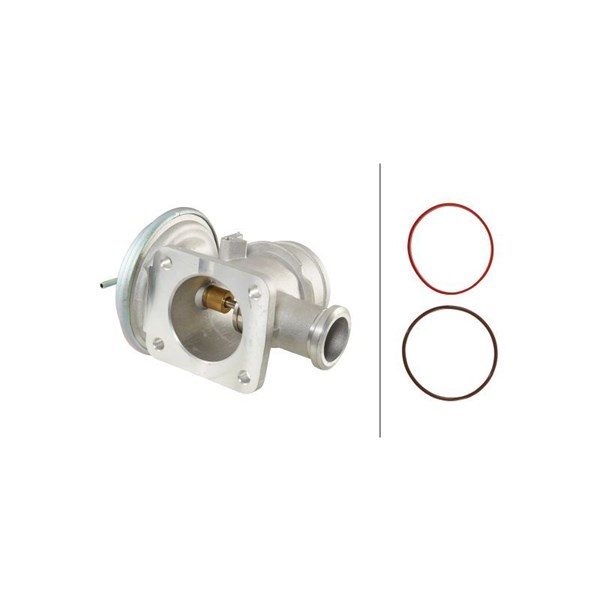 Egr-ventil Hella 6NU 014 864-091 HELLA