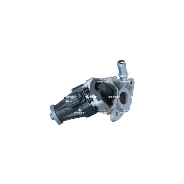 Egr-ventil 12V Nrf 48641 NRF