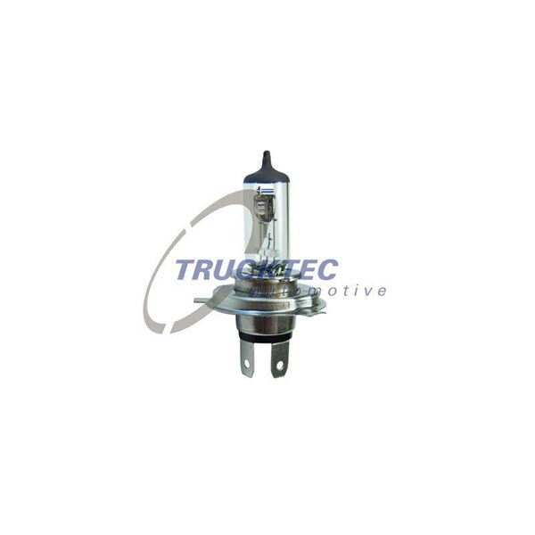 Halogenlampa  TRUCKTEC AUTOMOTIVE H4 P43t Trucktec automotive 88. TRUCKTEC AUTOMOTIVE