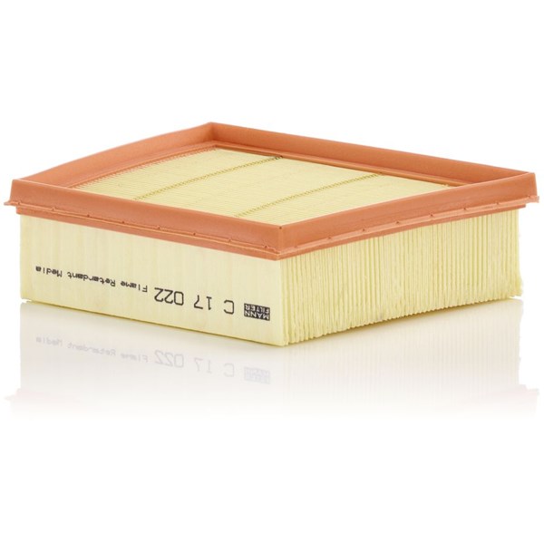 Luftfilter Mann-filter C 17 022 MANN-FILTER