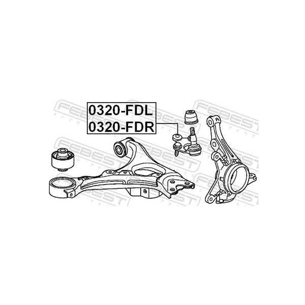 Kulled / Spindelled, framaxel höger Febest 0320-FDR FEBEST