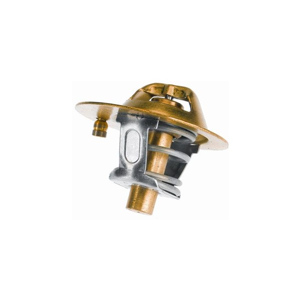 Termostat, kylvätska Borgwarner (wahler) 3119.82D4 BorgWarner (Wahler)