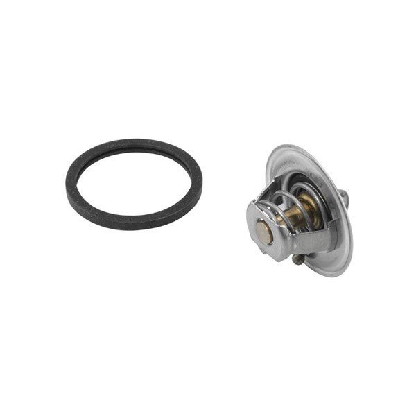 Termostat, kylvätska Borgwarner (wahler) 410488.88D BorgWarner (Wahler)
