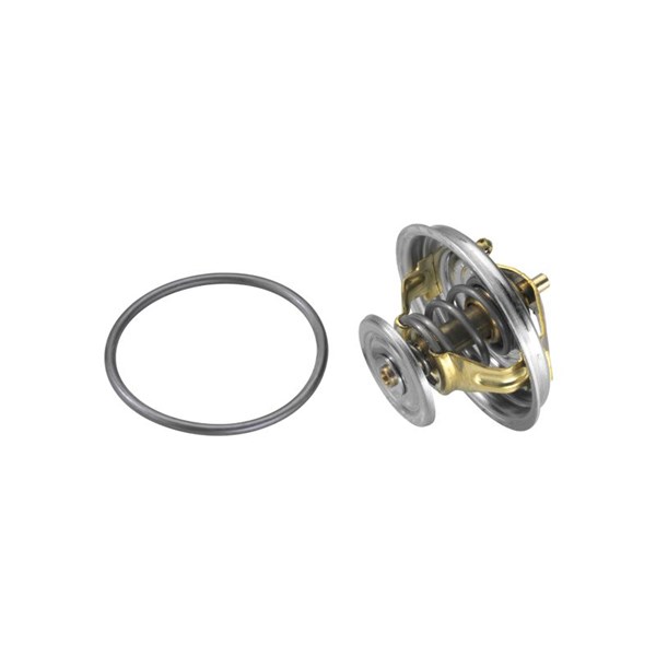 Termostat, kylvätska Borgwarner (wahler) 4274.82D BorgWarner (Wahler)