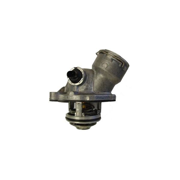 Termostat, kylvätska Borgwarner (wahler) 4834.100D BorgWarner (Wahler)