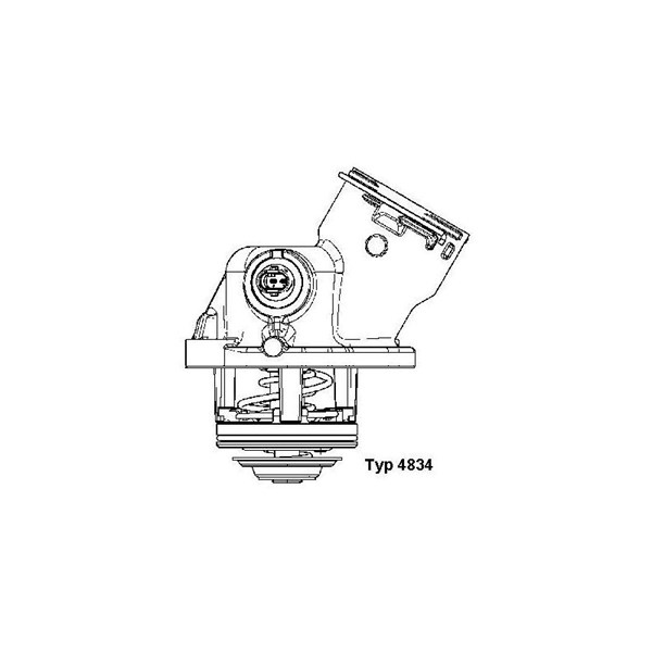 Termostat, kylvätska Borgwarner (wahler) 4834.100D BorgWarner (Wahler)