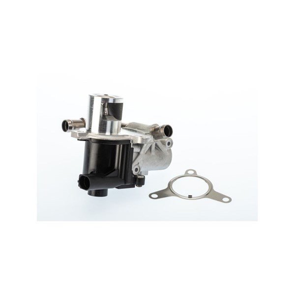 Egr-ventil, Nedre, Upptill Borgwarner (wahler) 710965D/1 BorgWarner (Wahler)
