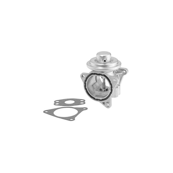 Egr-ventil Borgwarner (wahler) 7496D/1 BorgWarner (Wahler)