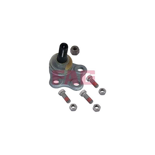 Kulled / Spindelled, Framaxel FAG