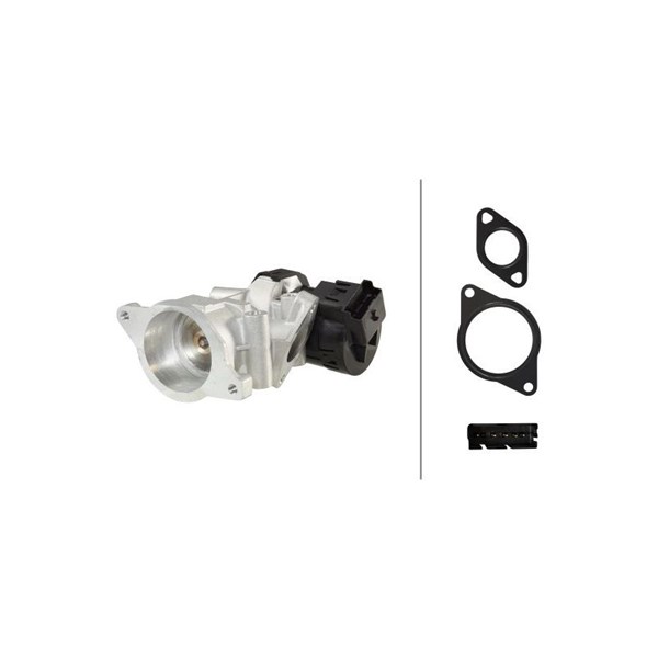 Egr-ventil Hella 6NU 010 171-671 HELLA
