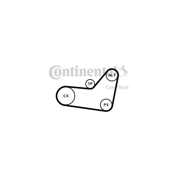 Drivremsats Contitech 6PK1080K4 CONTITECH Drivremsats Contitech 6PK1080K4 CONTITECH