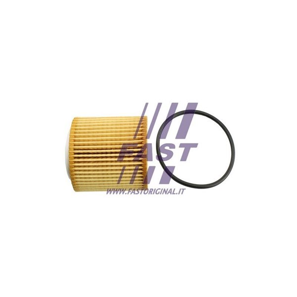 Oljefilter Fast FT38100 FAST