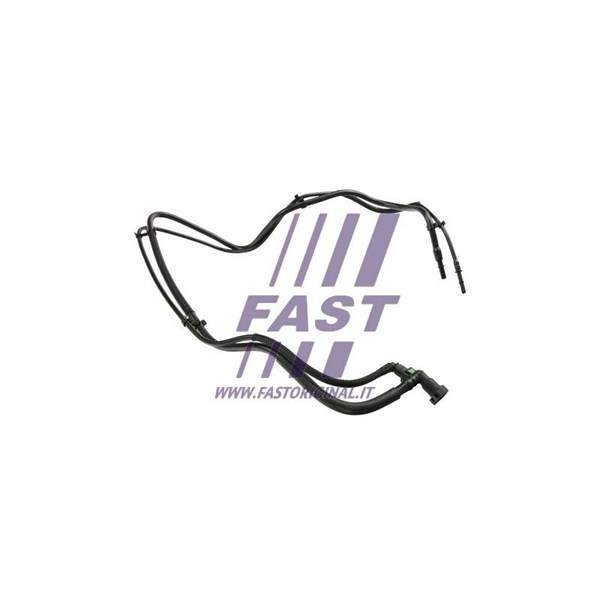 Bränsleslang Fast FT39598 FAST