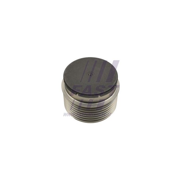 Remskiva, generator Fast FT45646 FAST