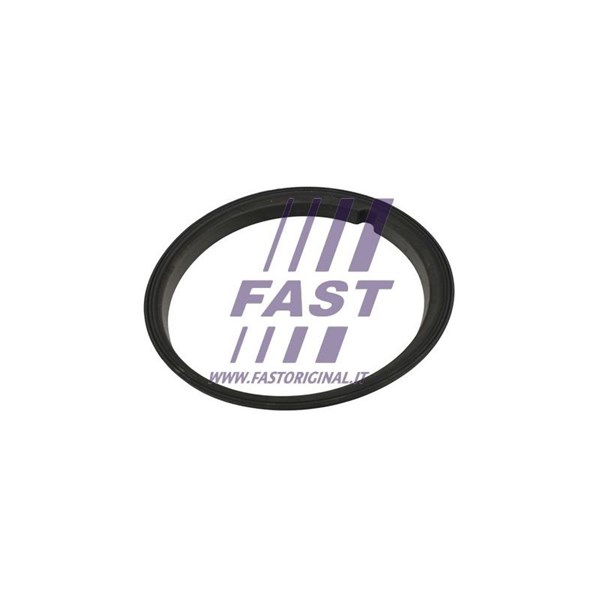 Packning, tankgivare Fast FT48502 FAST