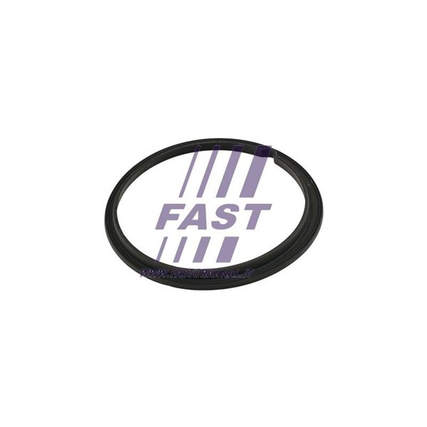 Packning, tankgivare Fast FT48502 FAST