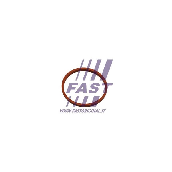 Insug, luftfilter Fast FT48932 FAST