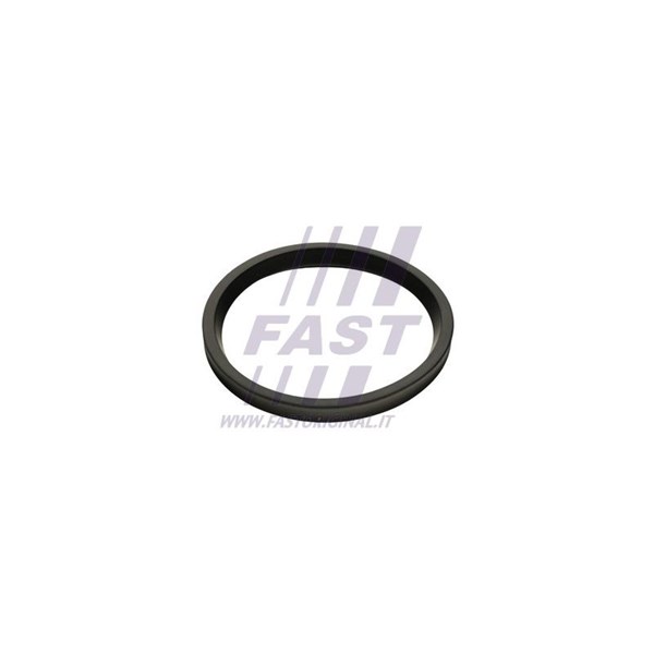 Insug, luftfilter Fast FT48947 FAST