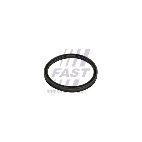 Insug, luftfilter Fast FT48947 FAST