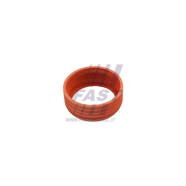 Insug, luftfilter, Insugssidan Fast FT48948 FAST
