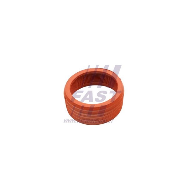 Insug, luftfilter, Insugssidan Fast FT48948 FAST Insug, luftfilter, Insugssidan Fast FT48948 FAST