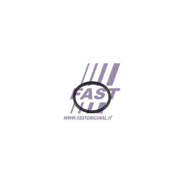 Ringpackning, överladdare Fast FT49857 FAST