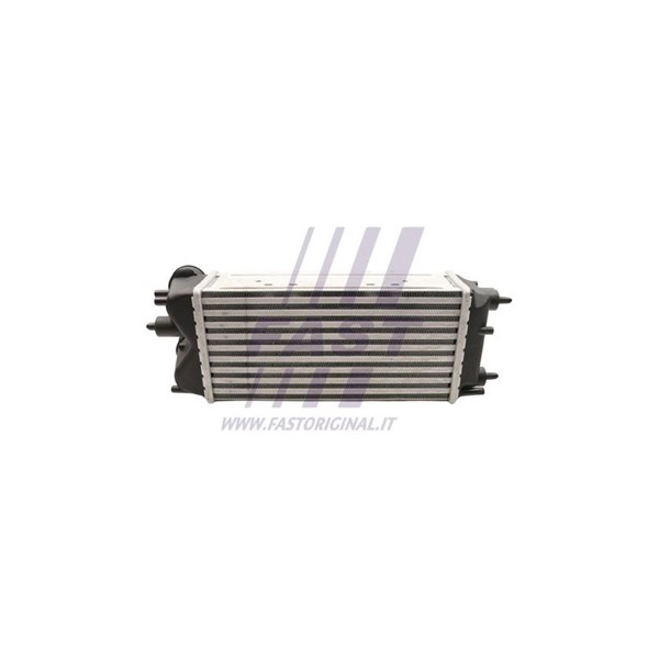 Intercooler Fast FT55597 FAST