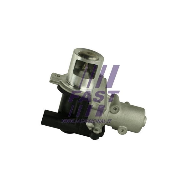 Egr-ventil 12V Fast FT60214 FAST