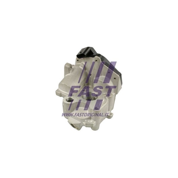 Egr-ventil 12V Fast FT60218 FAST