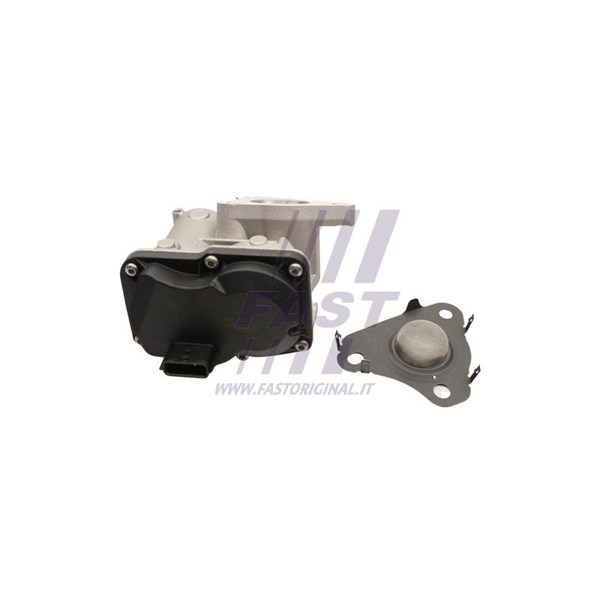 Egr-ventil Fast FT60245 FAST