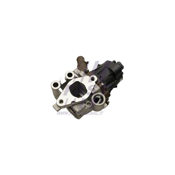 Egr-ventil Fast FT60248 FAST