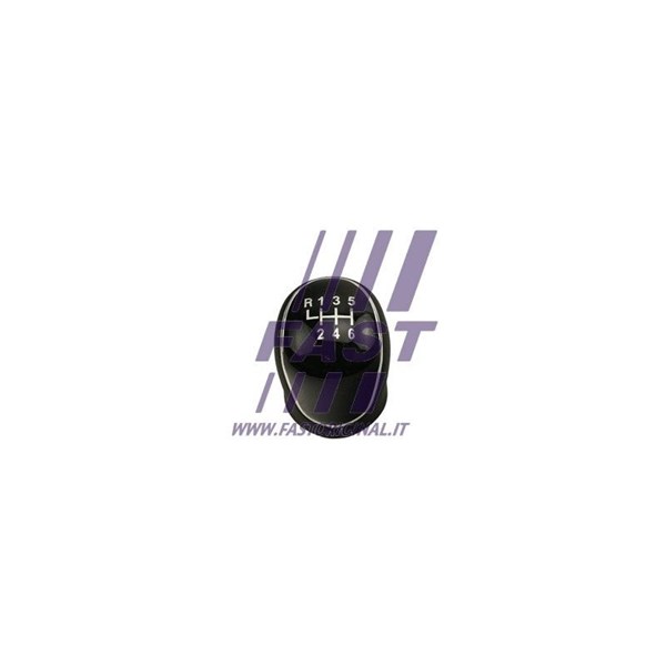 Växelspaksknopp Fast FT73232 FAST