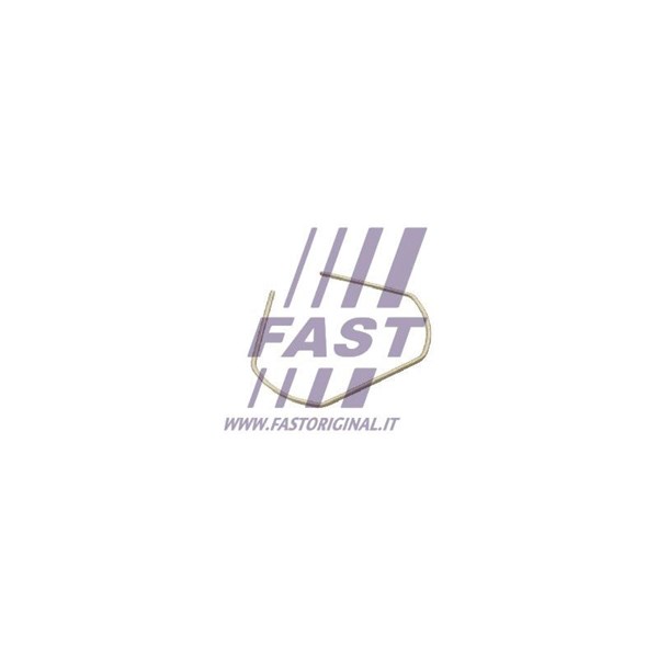 Hållare, bromsledning Fast FT96319 FAST