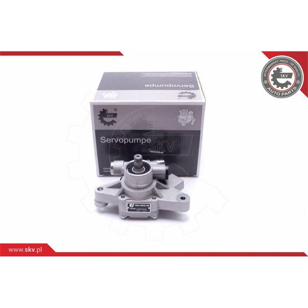 Servopump Esen skv 10SKV313 ESEN SKV
