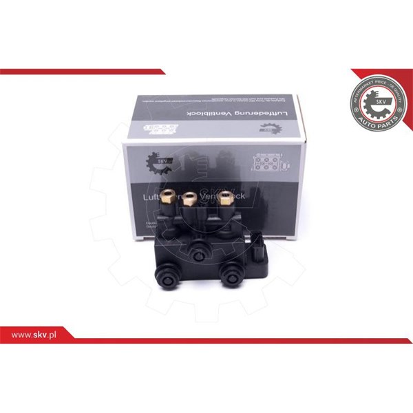 Ventil, kompressorsystem, Framaxel Esen skv 93SKV816 ESEN SKV