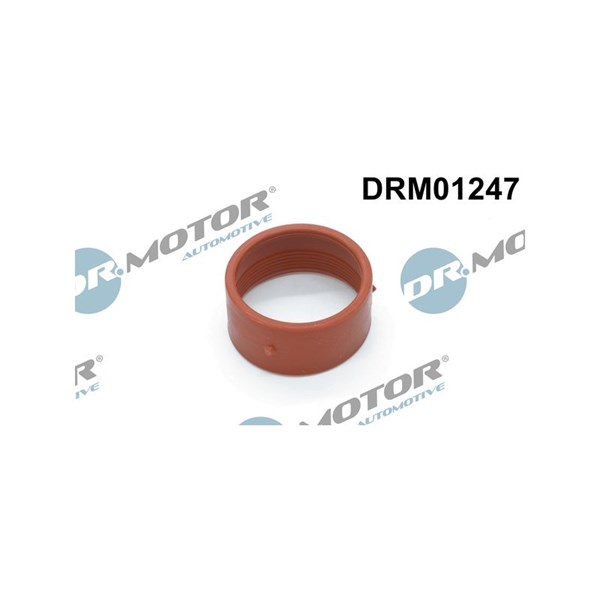 Insug, luftfilter, Nedre Dr.Motor Automotive
