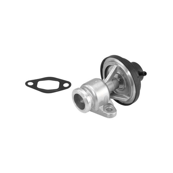 Egr-ventil Borgwarner (wahler) 710570D BorgWarner (Wahler) Egr-ventil Borgwarner (wahler) 710570D BorgWarner (Wahler)