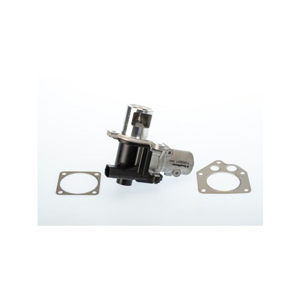 Egr-ventil, Upptill Borgwarner (wahler) 710928D/1 BorgWarner (Wahler)
