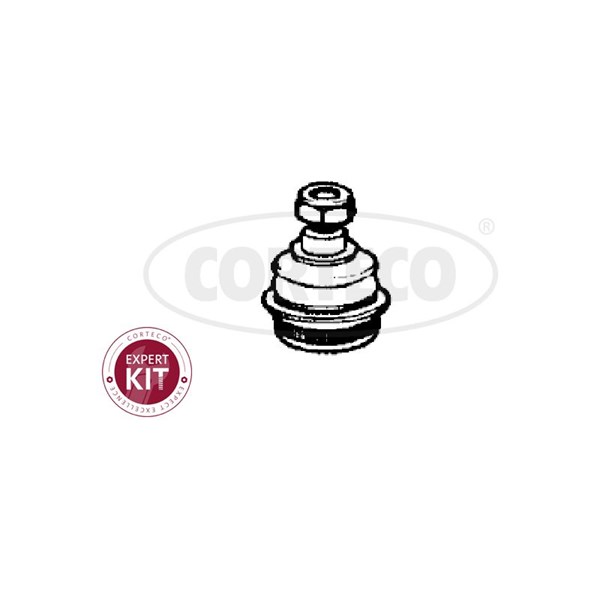 Kulled / Spindelled, framaxel höger, framaxel vänster, Nedre Cort CORTECO Kulled / Spindelled, framaxel höger, framaxel vänster, Nedre Cort CORTECO