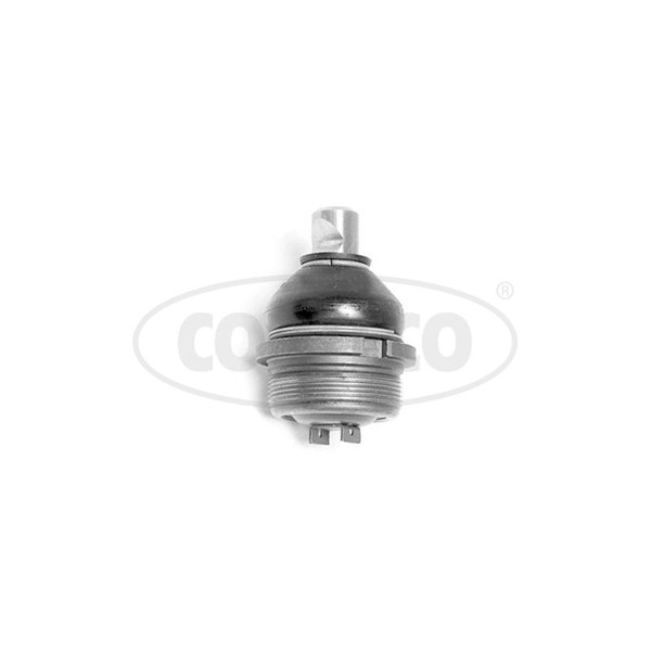 Kulled / Spindelled, framaxel höger, framaxel vänster, Nedre Cort CORTECO Kulled / Spindelled, framaxel höger, framaxel vänster, Nedre Cort CORTECO